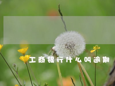 工商银行什么叫逾期 工商银行什么叫逾期