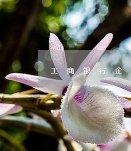 工商银行企业贷款逾期利率 工商银行企业贷款逾期利率