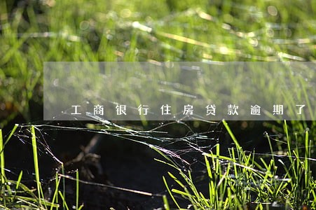 工商银行住房贷款逾期了一天 工商银行住房贷款逾期了一天