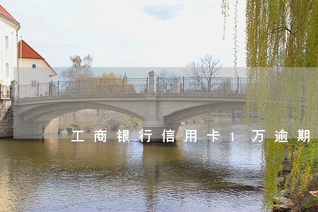 工商银行信用卡1万逾期半年 工商银行信用卡1万逾期半年