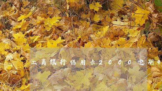 工商银行信用卡2000逾期4年 工商银行信用卡2000逾期4年