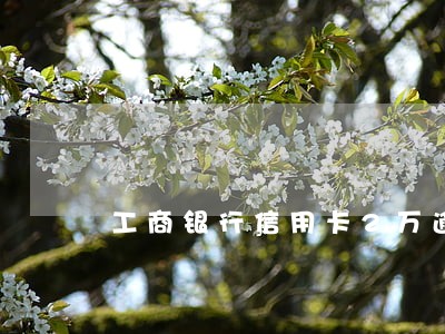 工商银行信用卡2万逾期三年 工商银行信用卡2万逾期三年