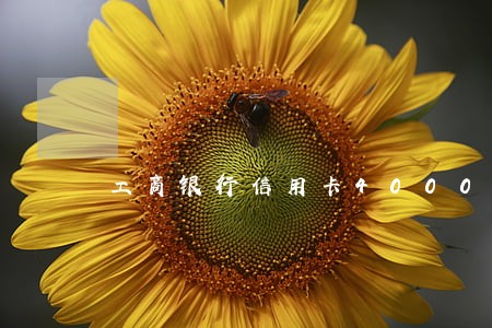 工商银行信用卡4000逾期2年 工商银行信用卡4000逾期2年