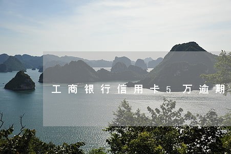 工商银行信用卡5万逾期3年 工商银行信用卡5万逾期3年