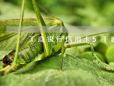 工商银行信用卡5千逾期二年多 工商银行信用卡5千逾期二年多
