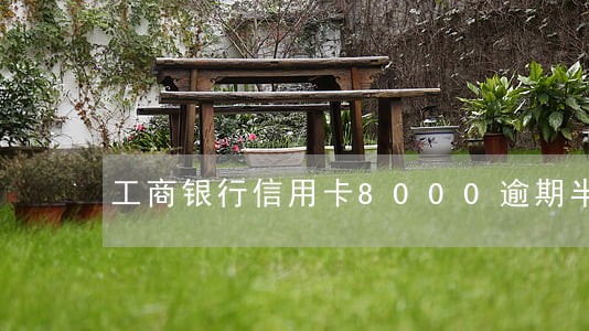 工商银行信用卡8000逾期半年 工商银行信用卡8000逾期半年