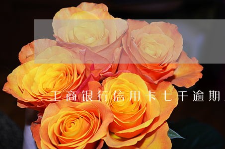 工商银行信用卡七千逾期三个月 工商银行信用卡七千逾期三个月