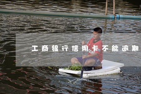 工商银行信用卡不能逾期吗