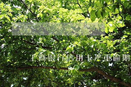 工商银行信用卡严重逾期 工商银行信用卡严重逾期