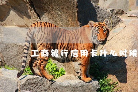 工商银行信用卡什么时候算逾期 工商银行信用卡什么时候算逾期