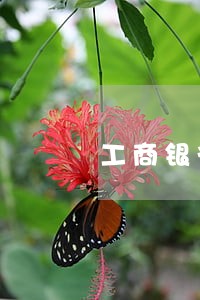 工商银行信用卡分期可以逾期 工商银行信用卡分期可以逾期