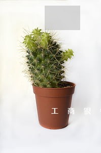 工商银行信用卡因为逾期被冻结