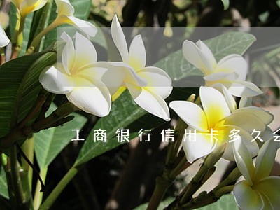 工商银行信用卡多久会逾期