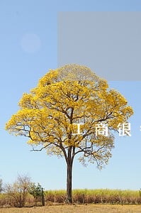 工商银行信用卡怎么查逾期记录