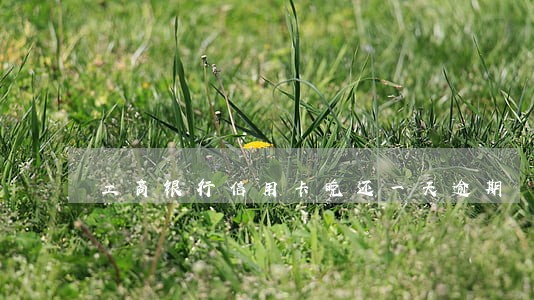 工商银行信用卡晚还一天逾期