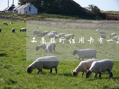 工商银行信用卡有一次逾期 工商银行信用卡有一次逾期