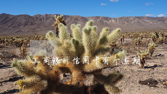 工商银行信用卡有个逾期 工商银行信用卡有个逾期