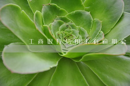 工商银行信用卡有逾期会怎样 工商银行信用卡有逾期会怎样