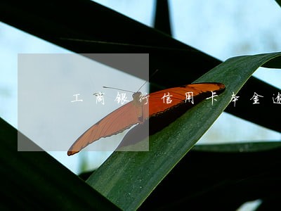 工商银行信用卡本金逾期 工商银行信用卡本金逾期