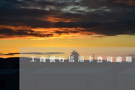 工商银行信用卡查询逾期