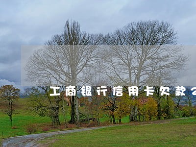 工商银行信用卡欠款2万逾期2年 工商银行信用卡欠款2万逾期2年