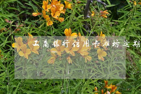 工商银行信用卡潍坊逾期 工商银行信用卡潍坊逾期
