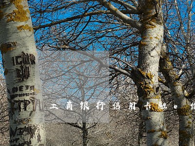 工商银行信用卡融e借逾期一天 工商银行信用卡融e借逾期一天