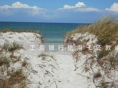 工商银行信用卡还款逾期1天 工商银行信用卡还款逾期1天