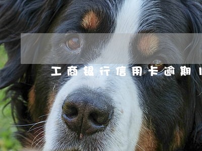 工商银行信用卡逾期10元 工商银行信用卡逾期10元