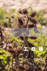 工商银行信用卡逾期10几万