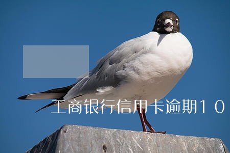 工商银行信用卡逾期10天 工商银行信用卡逾期10天