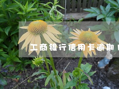 工商银行信用卡逾期160天 工商银行信用卡逾期160天