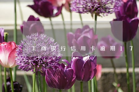 工商银行信用卡逾期17000
