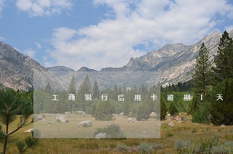 工商银行信用卡逾期1天会怎样