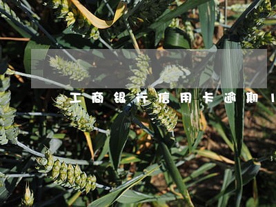 工商银行信用卡逾期1天有事吗