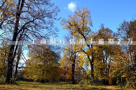 工商银行信用卡逾期2万 工商银行信用卡逾期2万