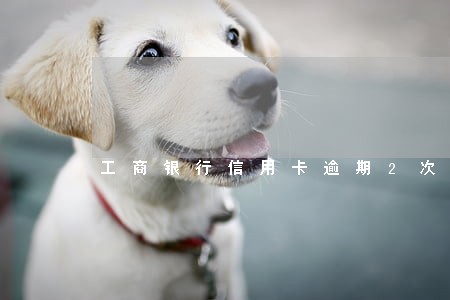 工商银行信用卡逾期2次怎么办 工商银行信用卡逾期2次怎么办