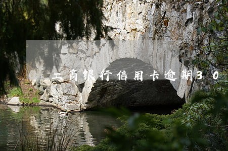 工商银行信用卡逾期30天 工商银行信用卡逾期30天