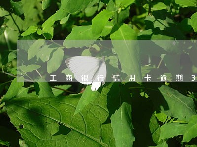 工商银行信用卡逾期3个月被冻结