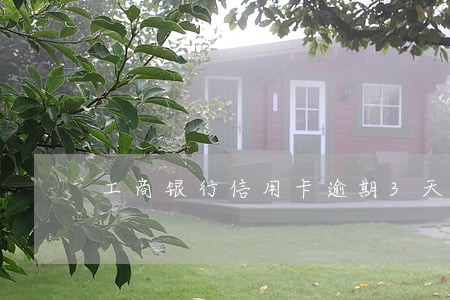 工商银行信用卡逾期3天