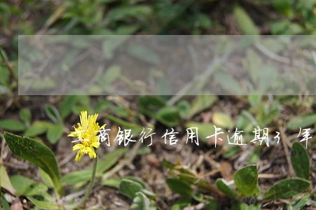 工商银行信用卡逾期3年被冻结 工商银行信用卡逾期3年被冻结