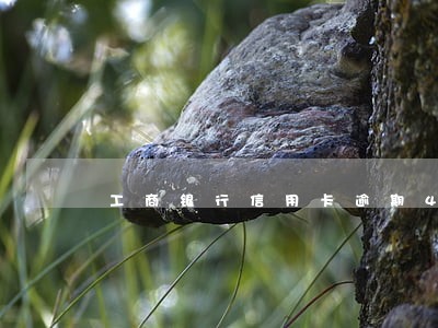 工商银行信用卡逾期4万多 工商银行信用卡逾期4万多