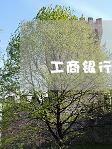工商银行信用卡逾期4个月后果