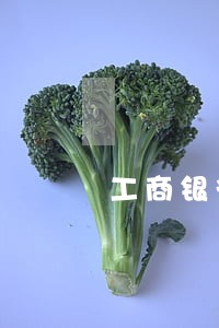 工商银行信用卡逾期4个月结清 工商银行信用卡逾期4个月结清