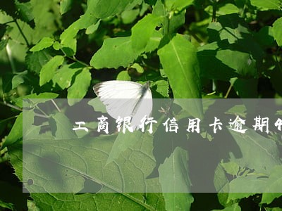 工商银行信用卡逾期4千块 工商银行信用卡逾期4千块