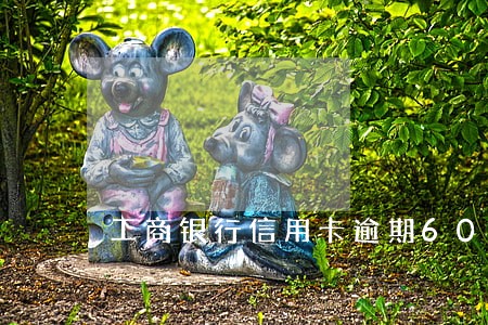 工商银行信用卡逾期6000 工商银行信用卡逾期6000