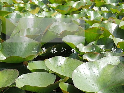 工商银行信用卡逾期6000元