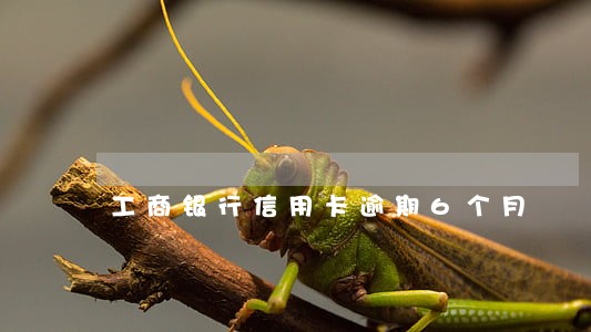 工商银行信用卡逾期6个月 工商银行信用卡逾期6个月