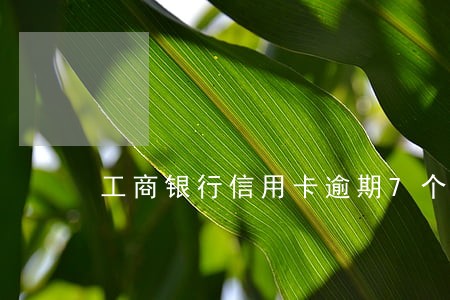 工商银行信用卡逾期7个月