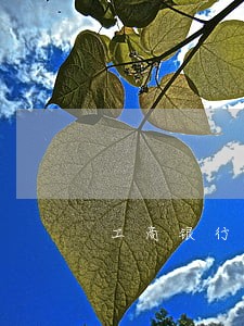 工商银行信用卡逾期7小时 工商银行信用卡逾期7小时
